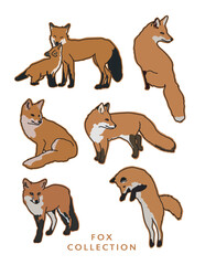 Fox Color Illustrations in Various Poses