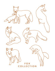 Fox Outline Illustrations in Various Poses