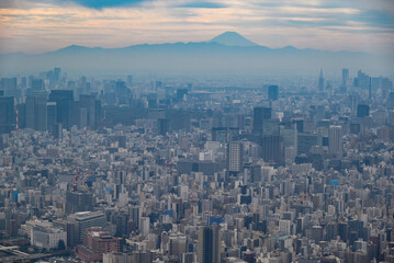 スカイツリーから眺める東京と富士山遠望