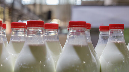Bottling line in a milk factory.