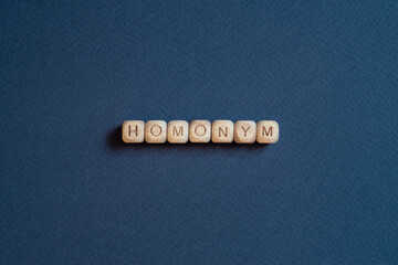 Homonym - word concept on cubes