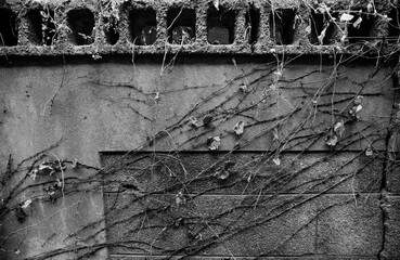 한국의 풍경 화성행궁 성곽의길 