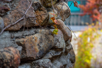 한국의 풍경 화성행궁 성곽의길 