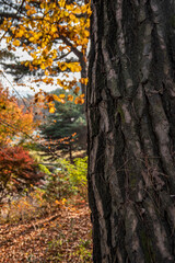 한국의 풍경 화성행궁 성곽의길 