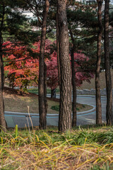 한국의 풍경 화성행궁 성곽의길 