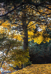 한국의 풍경 화성행궁 성곽의길 