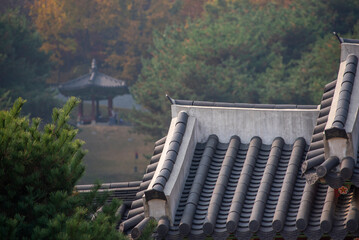 한국의 풍경 화성행궁 성곽의길 