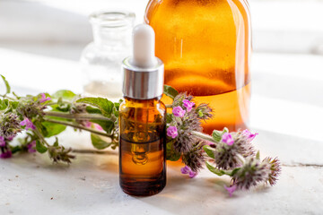 Flowers Wild basil , Clinopodium vulgare or Satureja vulgaris close-up near cosmetic bottles with a pipette and oils made from medicinal herbs.