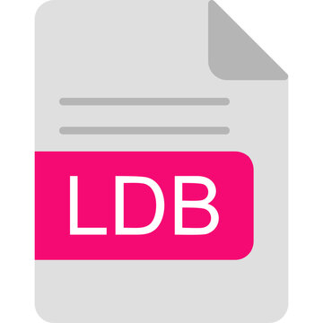LDB File Format Icon