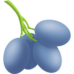 Grape fruit Illustration (7)