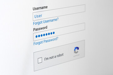 Site page, password text on this page, password field, password characters in the form of dots,...