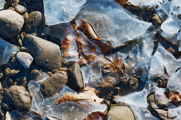 Rounded stones frozen into the ice on the banks of the Amur bask in the sun and thaw. Close up top view. Natural abstract texture background. Autumn leaf under winter ice. Copy space.