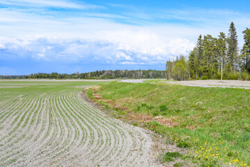 Landscape of agricultural area in spring