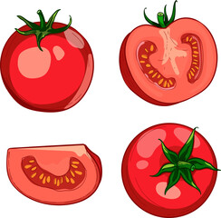 Hand-drawn colorful red tomato. A set of sketches with sliced tomatoes, a sliceof tomatoes. The vector illustration is isolated on a white background.