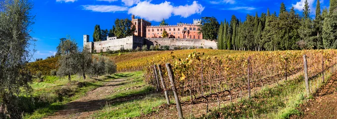 Poster Italy, scenery of Tuscany. panoramic view of beautiful medieval castle Castello di Brolio in Chianti region surrounded by golden autumn vineyards © Freesurf