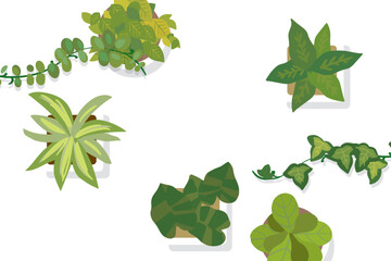 Obraz premium オシャレな観葉植物のイラスト 