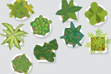 オシャレな観葉植物のイラスト
