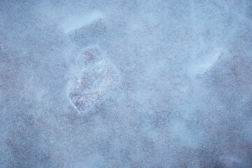 Texture background of the surface of the river coastal ice close-up. No people. View from above. Copy space.