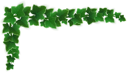 Leaf frame corner © klyaksun