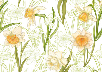 White daffodils and tulips flowers, the early spring flowers. Seamless pattern, background. Vector illustration. In botanical style