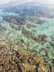 Naklejka na ściany i meble Transparent sea water, bottom of the sea, azure water