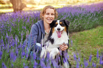 Pretty girl having rest at lavender garden with her aussie dog