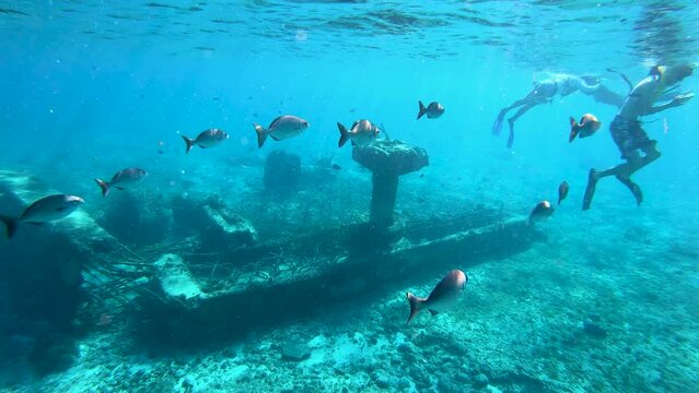 A group of fishes swimming near a ship wreck under water | Huge ship wreak structure underwater in deep blue sea in Caribbeans