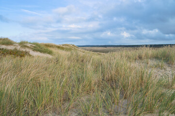 Dune landscape in Denmark by the sea. Trip to the Baltic Sea. Vacation on the beach