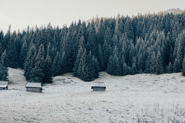 mountain huts, snow covered trees in the mountains