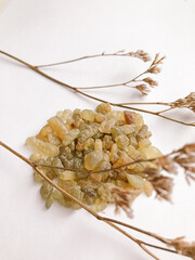 Set of natural resins and twigs of dried flowers , frankincense on white background
