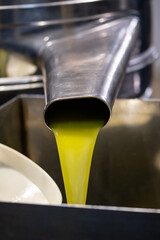 Fresh extra virgin olive oil pouring into tank at a cold-press factory after the olive season harvesting, vertical - obrazy, fototapety, plakaty