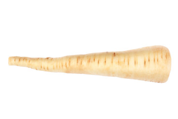 Tasty fresh ripe parsnip isolated on white, top view