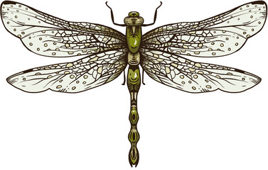 Vintage Dragonfly Transparent PNG