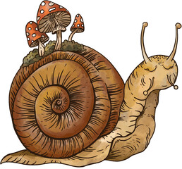Cartoon snail character transparent PNG