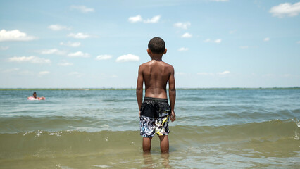 Fototapeta na wymiar USA, Rear view of boy standing in sea