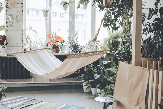 A white hammock against a backdrop of plants in the room. Relaxing area decorated with plants. Urban jungle in boho interior