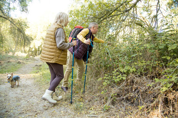 Hikers observing plants during a trek