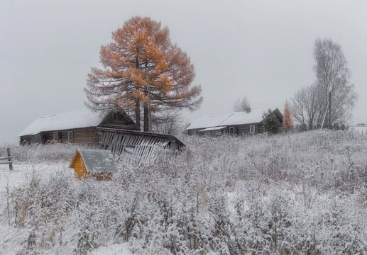 Winter in the Russian countryside. Veps region. Leningrad region. Russia