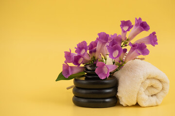 Massage stone and mansoa alliacea flowers on yellow background.