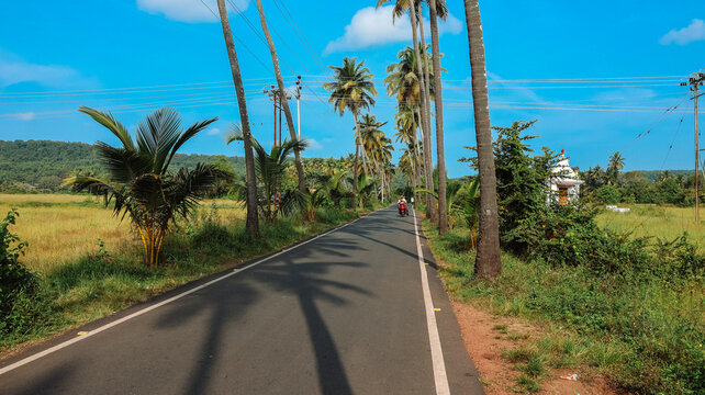 Goa, India 19th October 2022: 4k drone shots of Dear Zindagi Raod known as the Parra coconut tree road, in North Goa. Situated near Mapusa- Calangute road. St. Anne's Church.  Goa's Instagram Spot