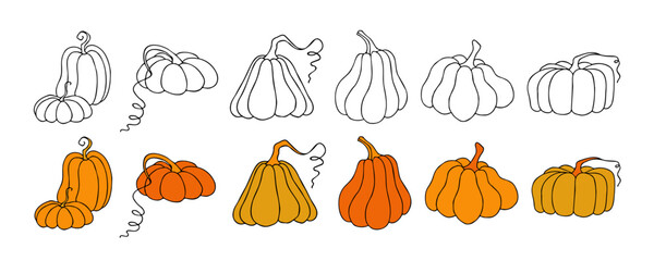 Autumn design template, hand drawn pumpkins, flat vector illustration