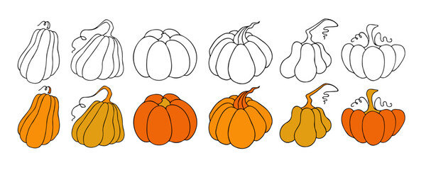 Autumn design template, hand drawn pumpkins, flat vector illustration