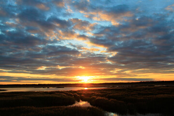 Amazing cloudy sunset sky above the lake with reed thickest. Selective focus