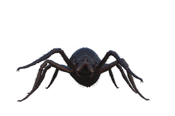 3D illustration of a giant monster spider standing and isolated on transparent background.