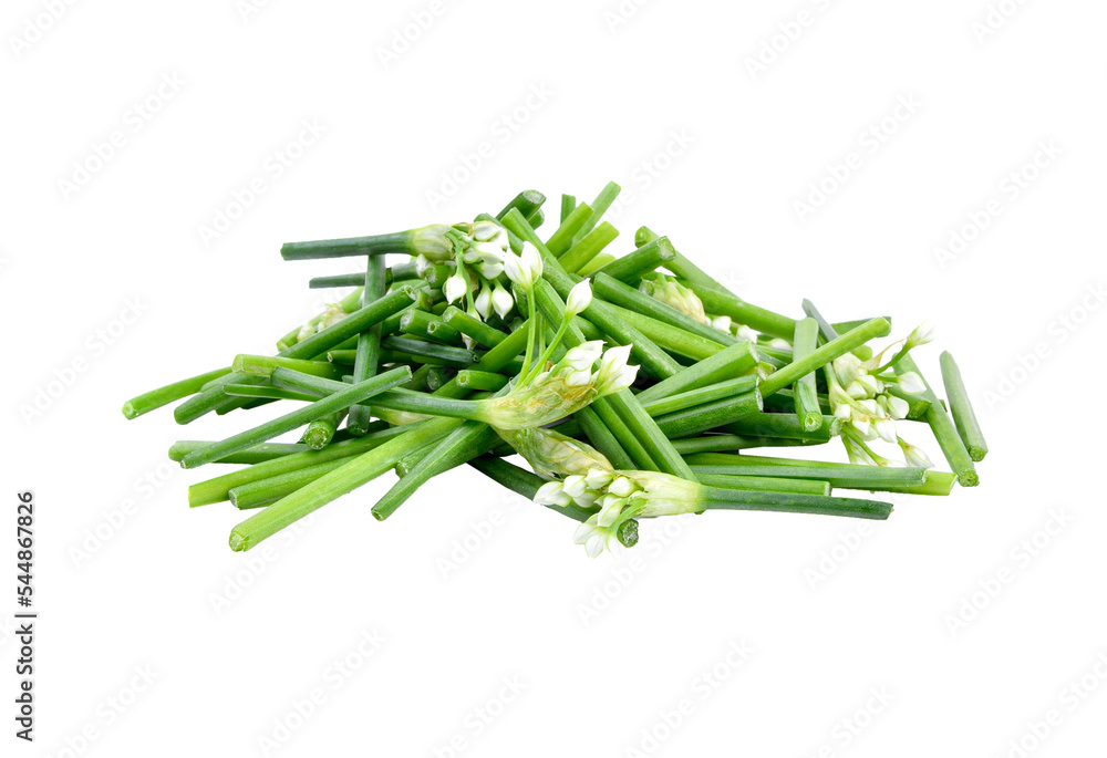 Canvas Prints chives flower or chinese chive     isolated on transparent png