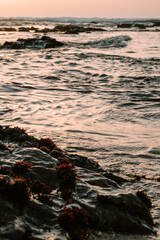 Obraz premium Beautiful sunset at Atlantic ocean in Porto. Travel to Portugal.