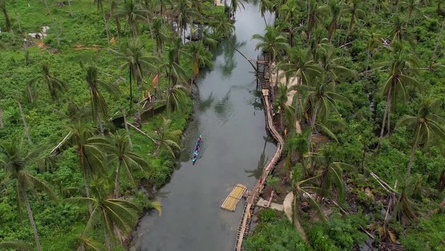 Philippines drone Content Jungle, lake, ocean, boat, naked island palm swing