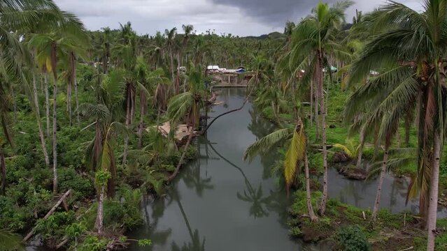 Philippines drone Content Jungle, lake, ocean, boat, naked island palm swing