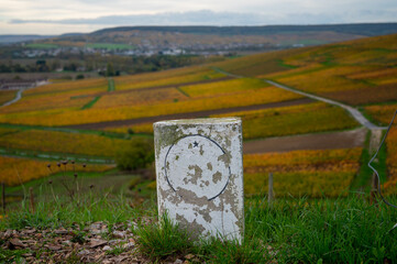 Panoramic autuimn view on champagne vineyards in village Hautvillers near Epernay, Champange, France
