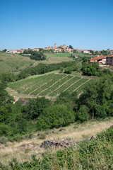 Landscape with vineyards near beaujolais wine making village Val d'Oingt, gateway to Beaujolais...